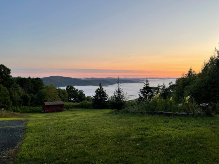 I Tried to Negotiate a Sunset Photoshoot on a Working Organic Farm in the Catskills — Here’s What Actually Happened