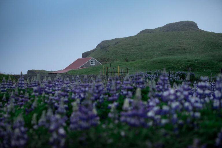 How to Plan a Faroe Islands Elopement That Actually Works